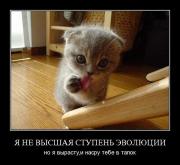 Прикрепленное изображение: x_503d1bbd.jpg