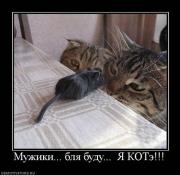 Прикрепленное изображение: x_2750e60a.jpg