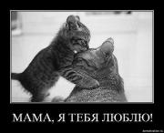 Прикрепленное изображение: x_dee0746b.jpg