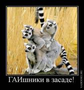 Прикрепленное изображение: x_5f4c5fa1.jpg