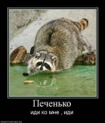 Прикрепленное изображение: x_60310701.jpg