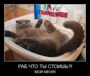 Прикрепленное изображение: x_eae66166.jpg