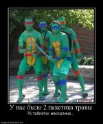 Прикрепленное изображение: 266886_u_nas_byilo_2_paketika_travyi.jpg