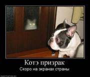 Прикрепленное изображение: Kote.jpg