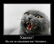 Прикрепленное изображение: Kote4.jpg