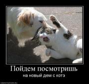 Прикрепленное изображение: 106779_pojdem_posmotrish.jpg