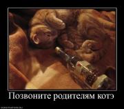 Прикрепленное изображение: 691073_pozvonite_roditelyam_kote.jpg