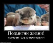 Прикрепленное изображение: 581620_podmigni_zhizni.jpg