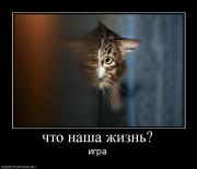 Прикрепленное изображение: 388771_chto_nasha_zhizn.jpg