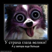 Прикрепленное изображение: 582998_u_straha_glaza_veliki.jpg