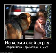 Прикрепленное изображение: 892552_ne_kormi_svoj_strah.jpg