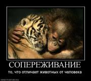 Прикрепленное изображение: 103565_soperezhivanie.jpg