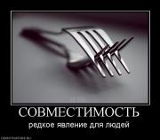 Прикрепленное изображение: 169010_sovmestimost.jpg