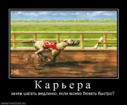 Прикрепленное изображение: 465984_k_a_r__e_r_a.jpg