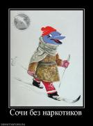 Прикрепленное изображение: 606572_sochi_bez_narkotikov.jpg