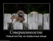 Прикрепленное изображение: 973266_sovershennoletie.jpg