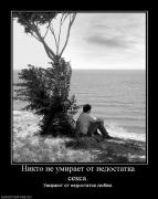 Прикрепленное изображение: 616501_nikto_ne_umiraet_ot_nedostatka_seksa.jpg