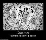 Прикрепленное изображение: 792750_glavnoe.jpg