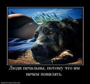 Прикрепленное изображение: 941554_lyudi_pechalnyi_potomu_chto_im_nechem_povilyat.jpg