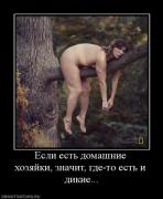 Прикрепленное изображение: 770596_esli_est_domashnie_hozyajki_znachit_gde_to_est_i_dikie.jpg