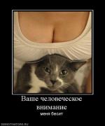 Прикрепленное изображение: 390901_vashe_chelovecheskoe_vnimanie.jpg