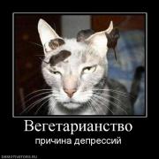 Прикрепленное изображение: 214017_vegetarianstvo.jpg