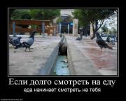 Прикрепленное изображение: 704141_esli_dolgo_smotret_na_edu.jpg