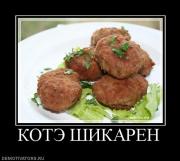 Прикрепленное изображение: 781423_kote_shikaren.jpg