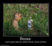 Прикрепленное изображение: 987997_vodka_.jpg