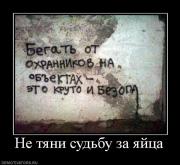 Прикрепленное изображение: 740808_ne_tyani_sudbu_za_yajtsa.jpg