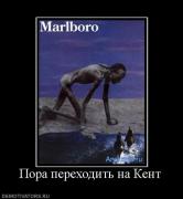 Прикрепленное изображение: 208051_pora_perehodit_na_kent.jpg