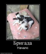 Прикрепленное изображение: 519305_brigada.jpg