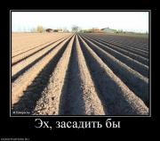 Прикрепленное изображение: 77812_eh_zasadit_byi_.jpg