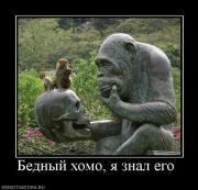 Прикрепленное изображение: 339620_bednyij_homo_ya_znal_ego_.jpg