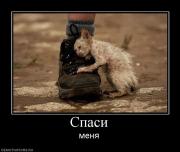 Прикрепленное изображение: 944247_spasi.jpg
