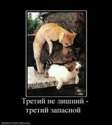 Прикрепленное изображение: 836331_tretij_ne_lishnij_tretij_zapasnoj_.jpg