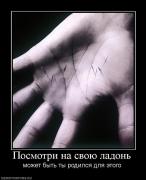 Прикрепленное изображение: 843821_posmotri_na_svoyu_ladon.jpg