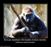 Прикрепленное изображение: 207345_kogda_pervaya_obezyana_vzyala_palku.jpg