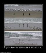 Прикрепленное изображение: 168140_prosto_svyazyivatsya_neohota.jpg