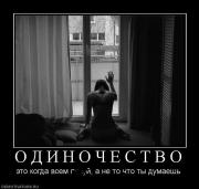 Прикрепленное изображение: 970181_o_d_i_n_o_ch_e_s_t_v_o.jpg