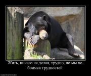 Прикрепленное изображение: 987114_zhit_nichego_ne_delaya_trudno_no_myi_ne_boimsya_trudnostej.jpg