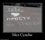 Прикрепленное изображение: 434031_mel_sudbyi.jpg
