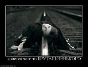 Прикрепленное изображение: 205607__hochetsya_chego_to_brutalnenkogo.jpg