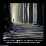 Прикрепленное изображение: 674361_zhizn_eto_batarejki_myi_proigryivateli.jpg