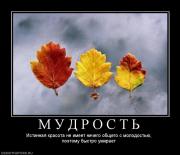 Прикрепленное изображение: 713679_m_u_d_r_o_s_t_.jpg