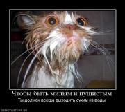 Прикрепленное изображение: 975029_chtobyi_byit_milyim_i_pushistyim.jpg