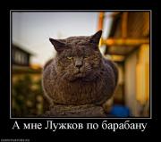 Прикрепленное изображение: 989907_a_mne_luzhkov_po_barabanu.jpg