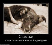 Прикрепленное изображение: 199835_schaste.jpg