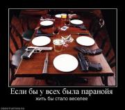 Прикрепленное изображение: 202279_esli_byi_u_vseh_byila_paranojya.jpg