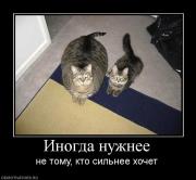 Прикрепленное изображение: 380196_inogda_nuzhnee.jpg